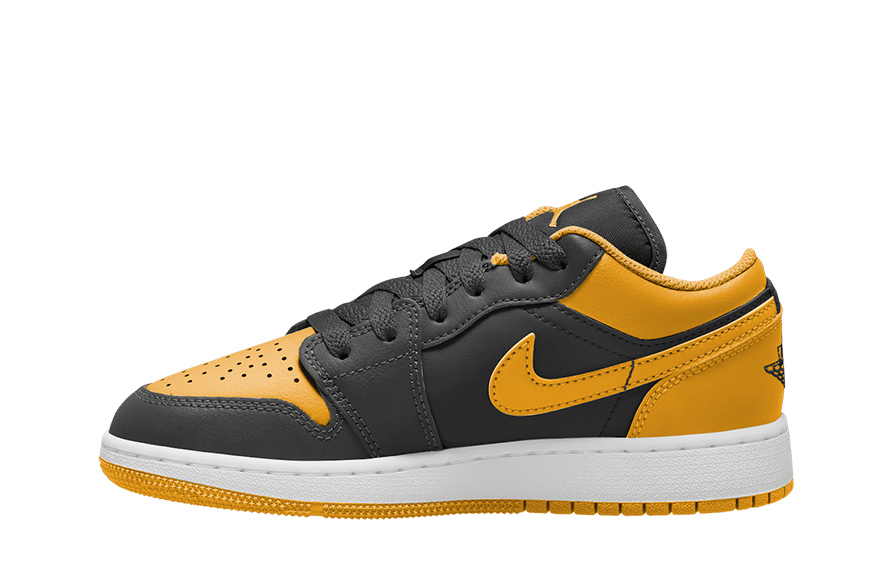 Fake Nike Air Jordan 1 Low 