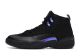 China Putian Fake Shoes Jordan 12 'Dark Concord' CT8013-005