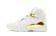 Replica Men's air Jordan 8 “Championship Trophy”