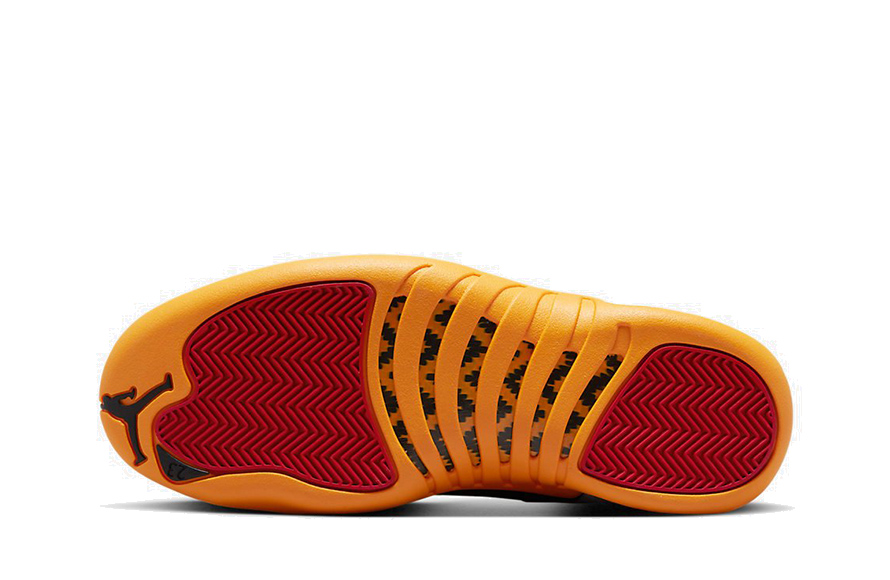 Air Jordan 12