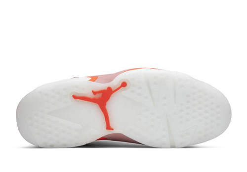 Jordan 6 Retro Aleali May fake