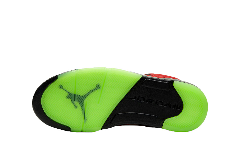 fake Jordan 5 What The