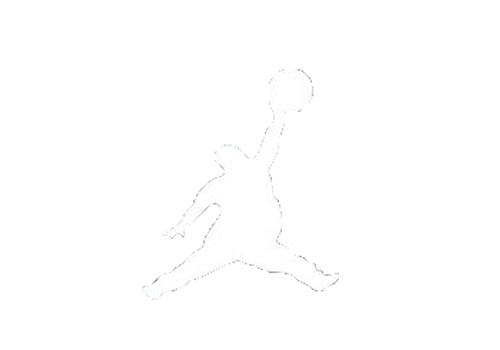 fake jordan logo funny